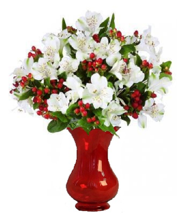 100 fleurs d’Alstroemeria festives - Cadeau de Noël parfait
