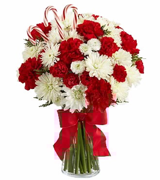 24 bouquet d’oeillets de canne à sucre pour la livraison de Noël
