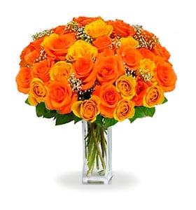 36 bouquet de roses oranges à longue tige