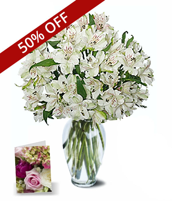 Bouquet Alstroemeria de Pâques - 50 fleurs vibrantes pour les fêtes de printemps
