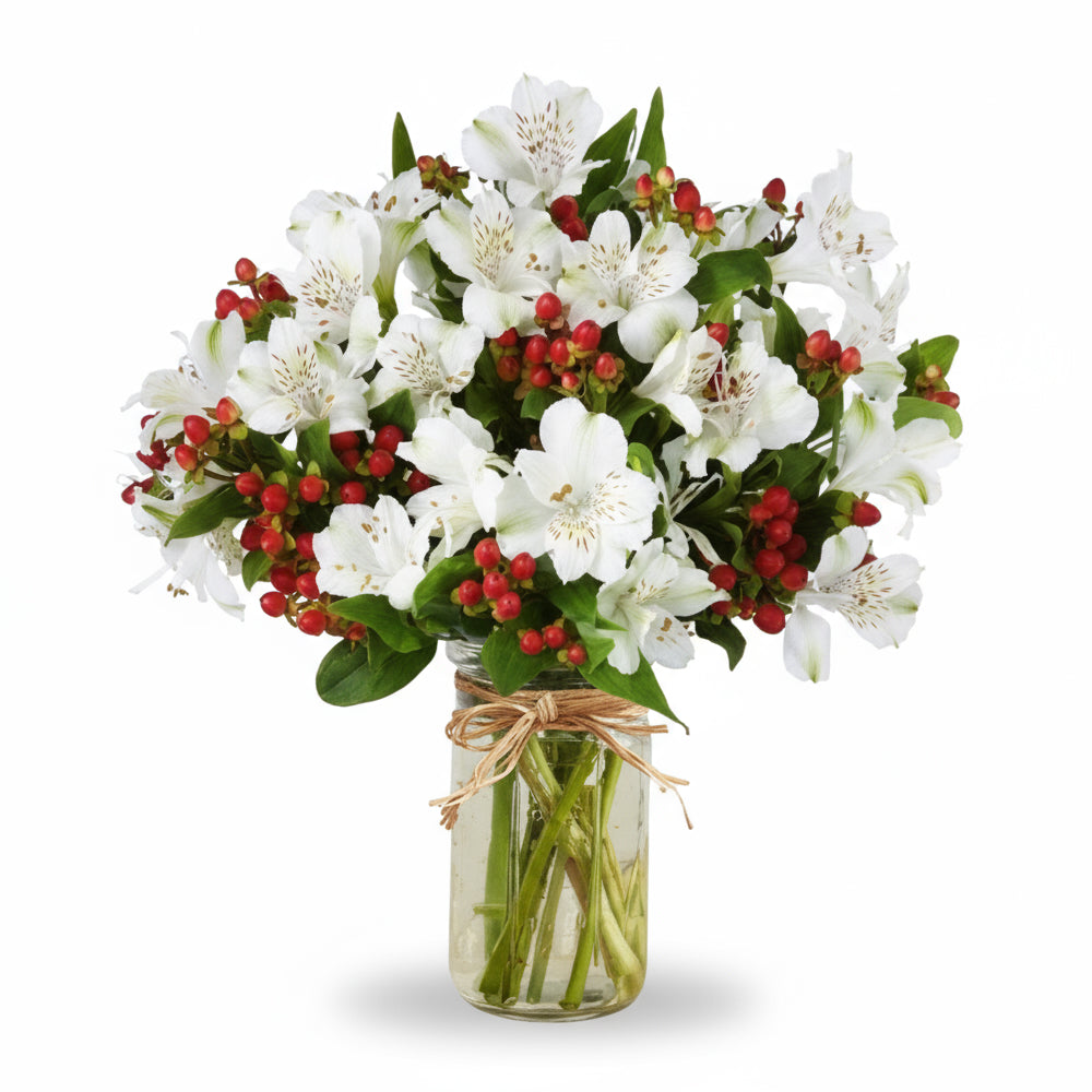 Alstroemeria de Noël en pot Mason (100 fleurs) – Bouquet festif - Fleur Quebec