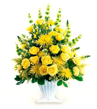 Bénédiction rayonnante : illumine ta vie Fleur Québec