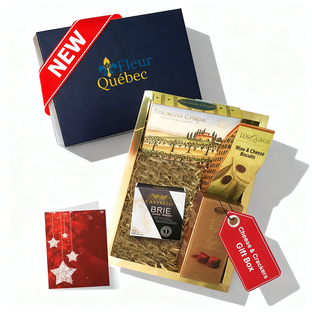 Coffret Cadeau Gourmand Luxe : Fromage Brie & Craquelins Fins (Fêtes)