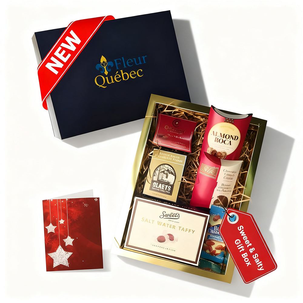 Coffret Cadeau Gourmand Sucré Salé Luxe Fêtes : Chocolat, Truffes, Fudge, Amandes Salées