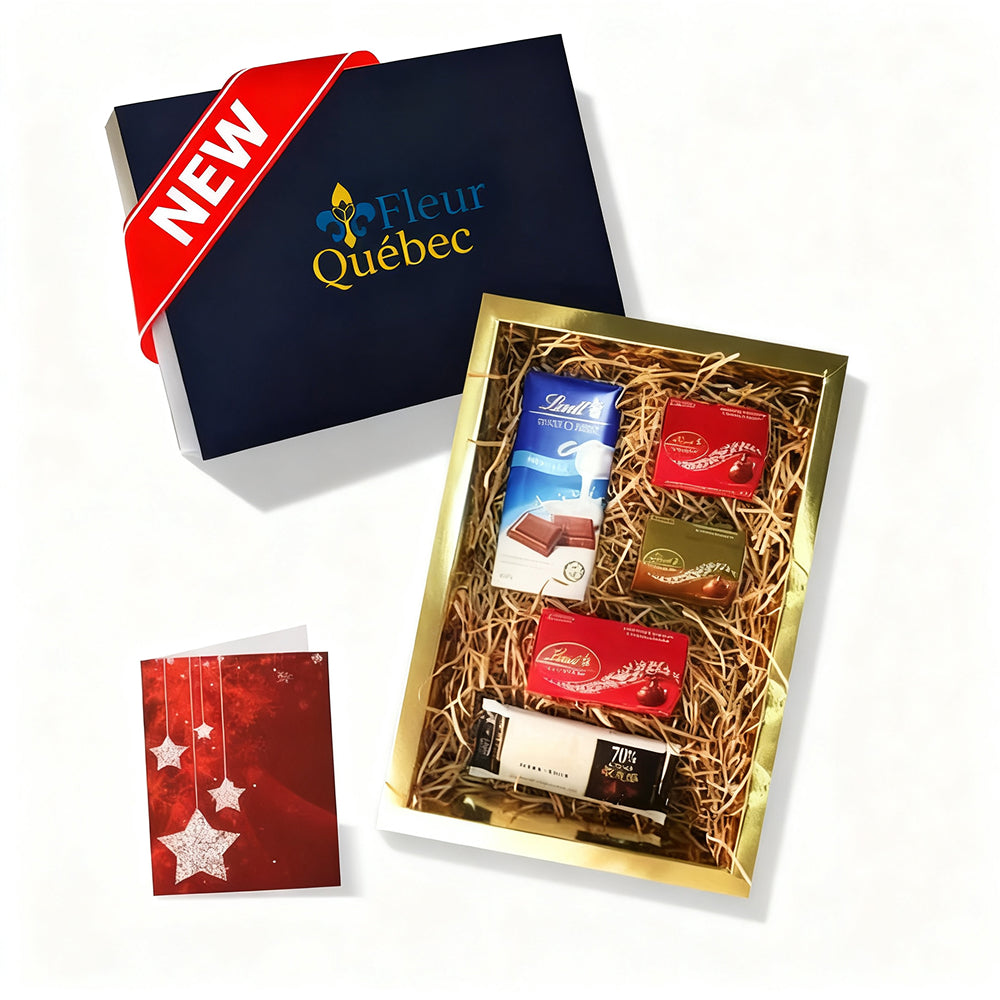 Coffret Cadeau Luxe Chocolat Lindt – Assortiment de 5 Chocolats Exquis pour les Fêtes