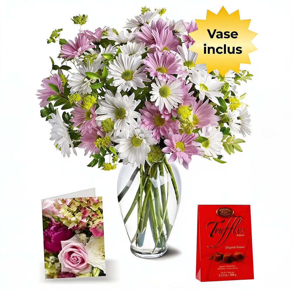 Collection d’amour de chrysanthème 3