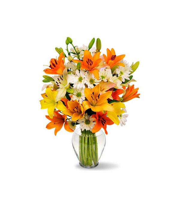 Superbe bouquet de fleurs de lys célestes pour les occasions spéciales