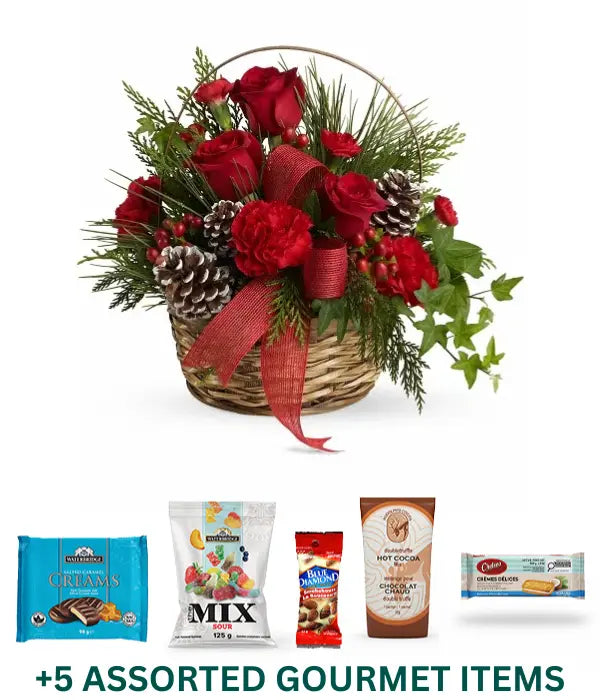 Jardinière Splendeur de Noël + Trousse gourmande