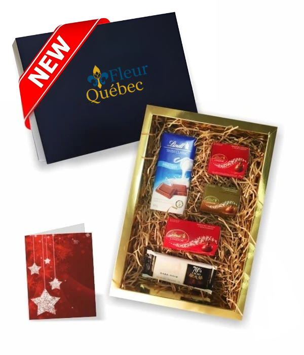 Coffret Cadeau Luxe Chocolat Lindt – Assortiment de 5 Chocolats Exquis pour les Fêtes