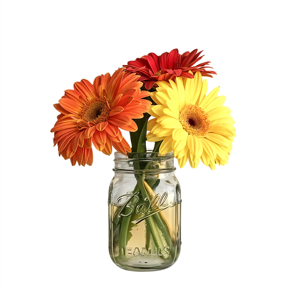 Le Cadeau Mémorable pour Toute Occasion : Trio Gerbera Pot Mason