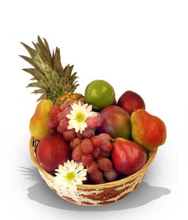 Récolte de fruits frais : livraison de produits de saison de qualité supérieure Fleur Québec