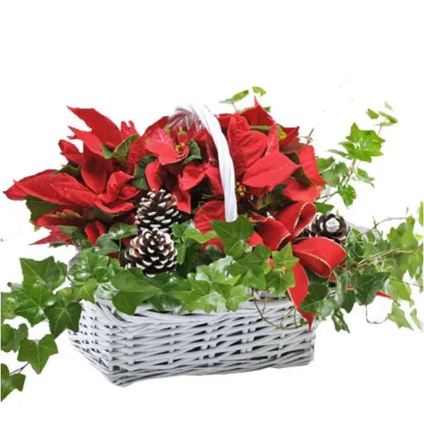 Happy Holidays Planter Basket Fleur Québec