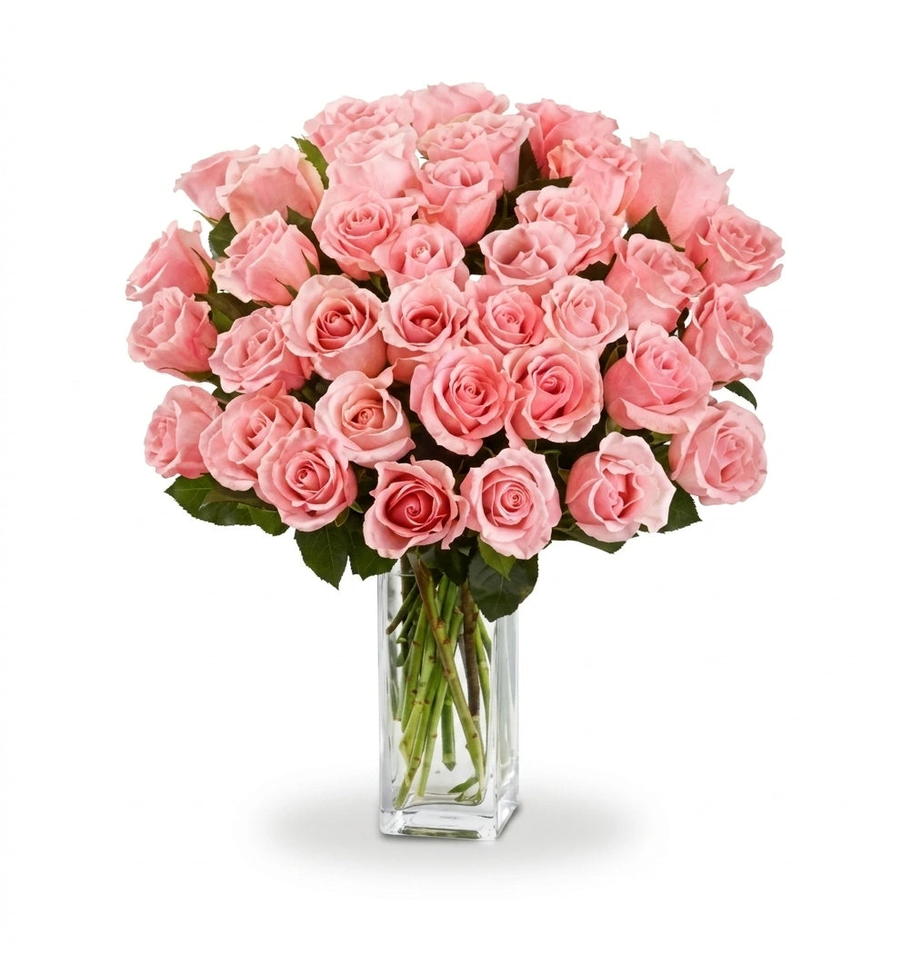 Bouquet de 36 Roses Roses à Longue Tige