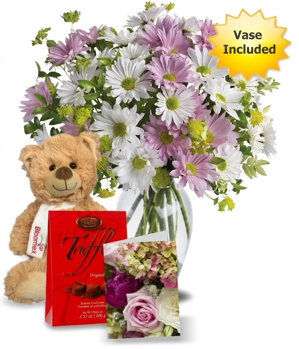 Chrysanthème Collection d'Amour 4