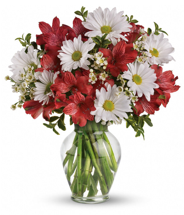 Dancing in Daisies : Collection de vêtements de danse floraux Fleur Québec 49.99