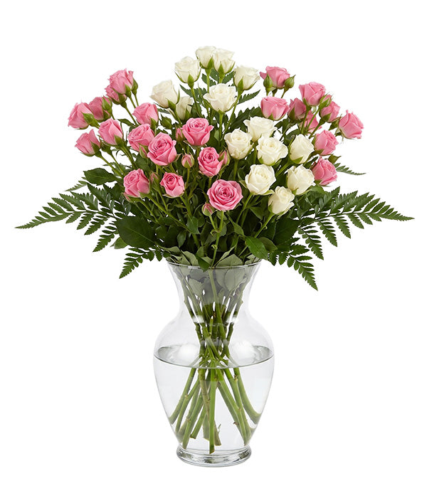 50 roses spray blanches et roses Fleur Québec