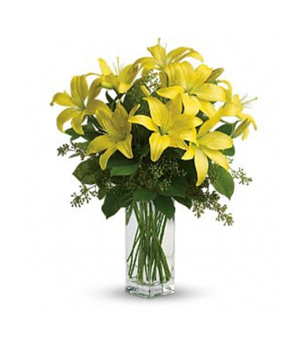 Lily Sunshine : une solution de soin éclaircissante pour une peau éclatante Fleur Québec