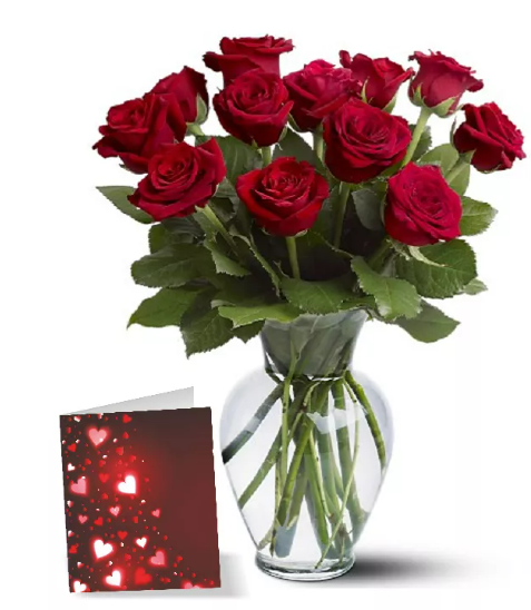 Bouquet de 12 Roses Oranges à Longue Tige - Anniversaire