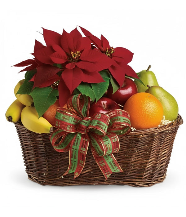 Poinsettia fruit basket with oranges, apples, and bananas.