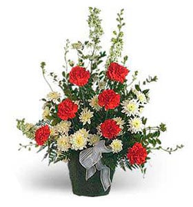 Hommage Rouge & Blanc : Collection de Vins Premium Fleur Québec