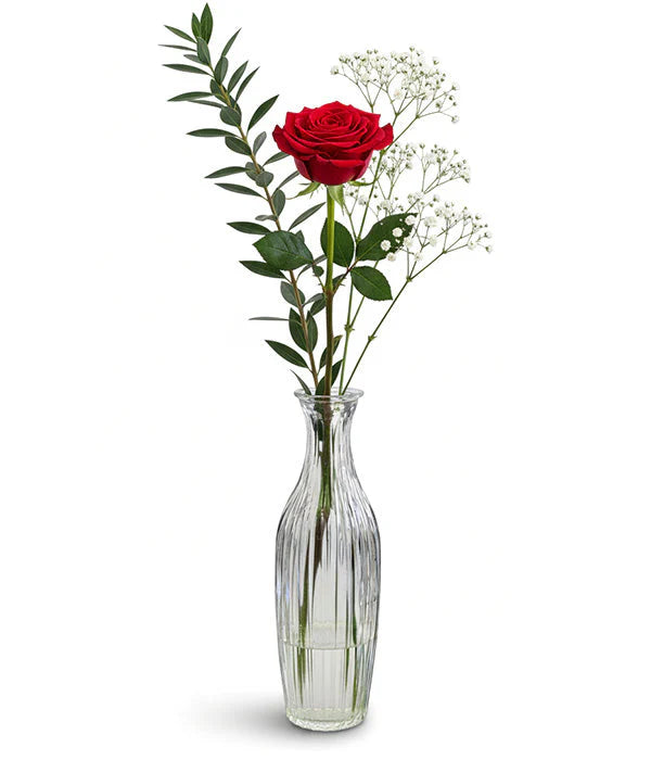 Rose Rouge en Vase-Bouton