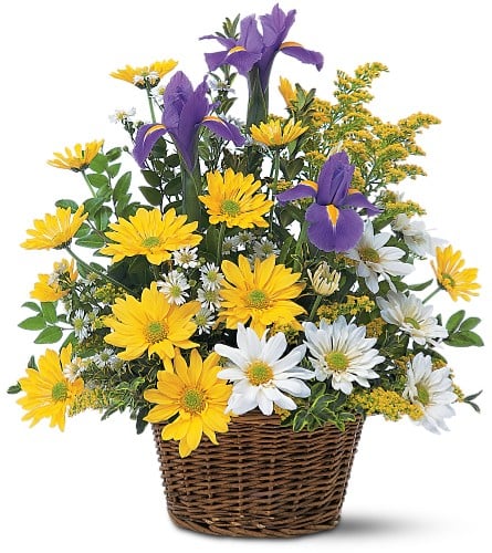Panier de composition florale gai