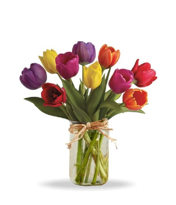 Tulipes printanières vibrantes dans un vase rustique Mason Jar