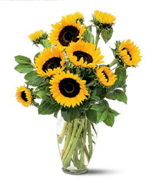 Bouquet de tournesols Vibrant Sunshine - Fleurs fraîches et radieuses