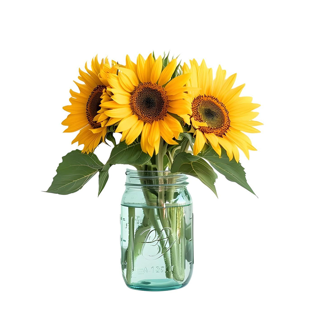 Tournesols en pot mason