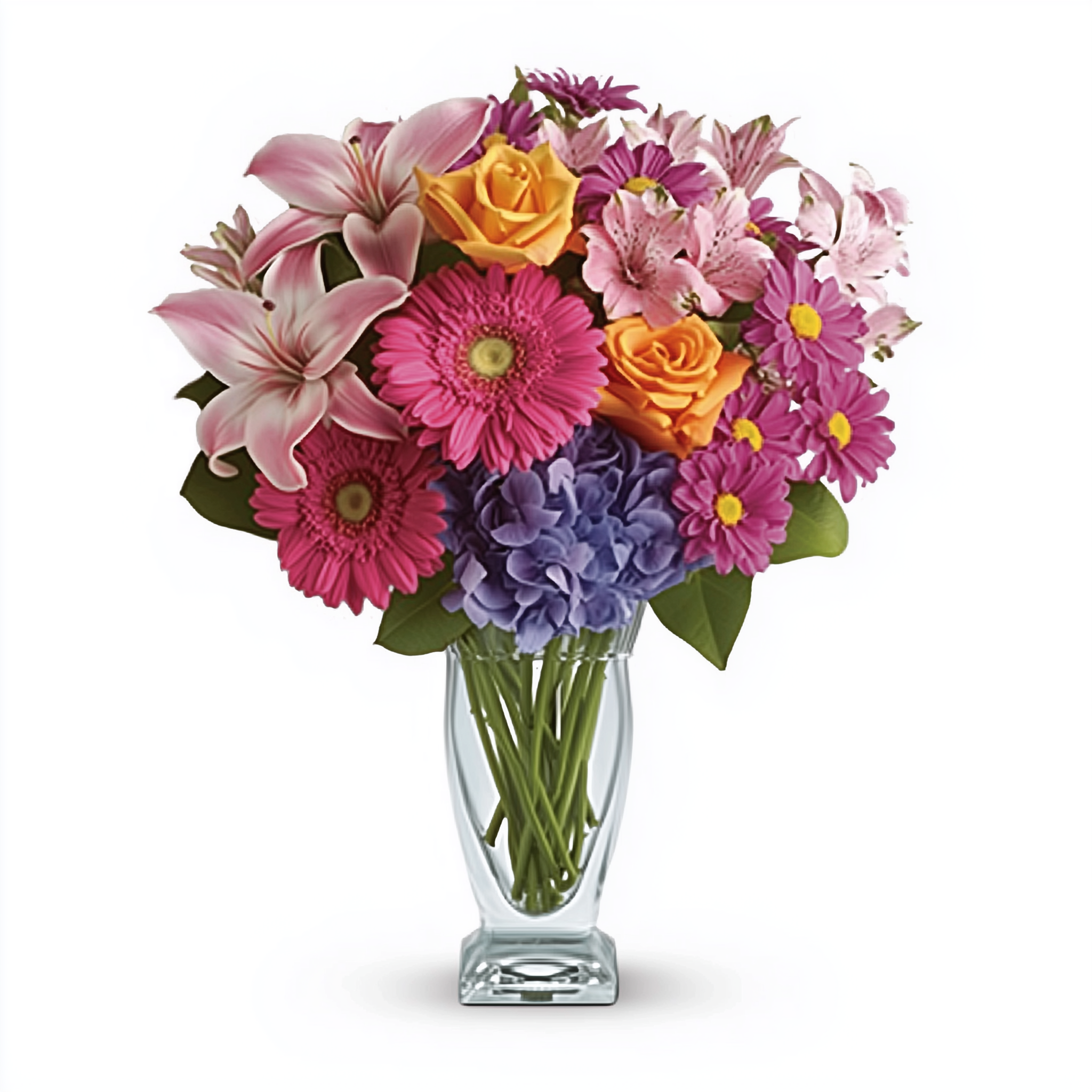 Bouquet Premium "Vœux Enchanteurs" - Roses Rose Vif - Félicitations Fleur Québec