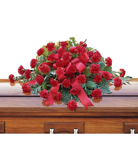 Arrangement élégant de pulvérisation de cercueil de condoléances Fleur Québec