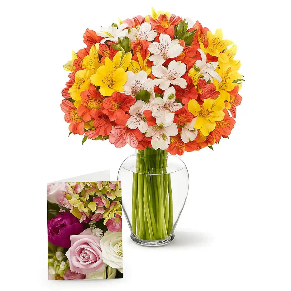 100 Blooms of Alstroemeria I - Flower Delivery New Zealand