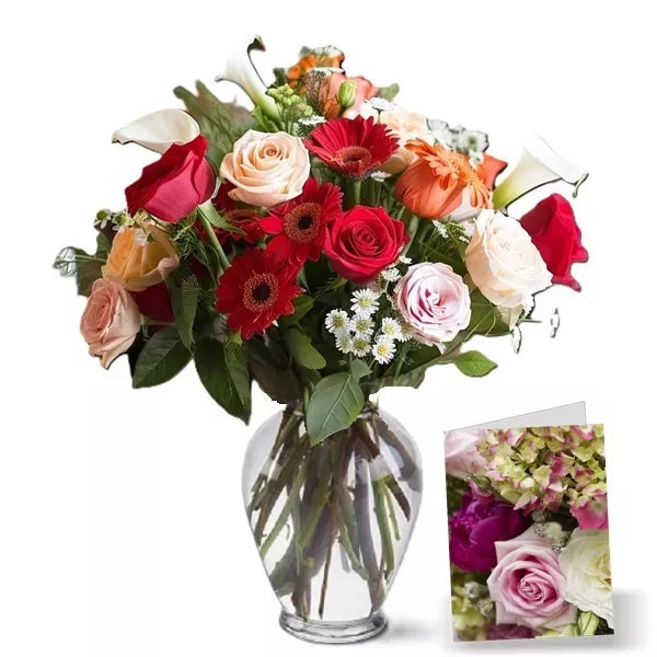 Anniversary Designer Collection II - Flower Delivery New Zealand