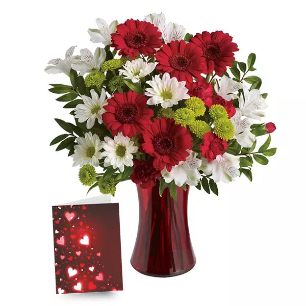 Christmas Bells II - Flower Delivery New Zealand