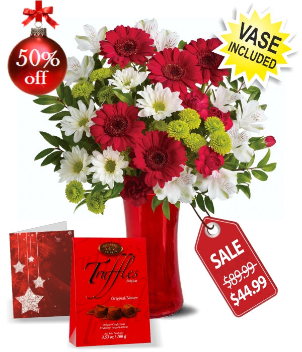 Cloches de Noël festives IV : Décoration et ornements de Noël Fleur Québec