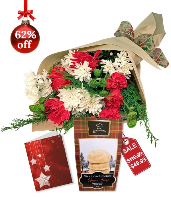 Christmas Designer Collection II : Décoration et cadeaux festifs pour les fêtes