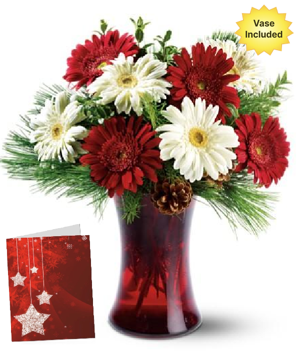 Arrangement floral d’étoile de Noël festif
