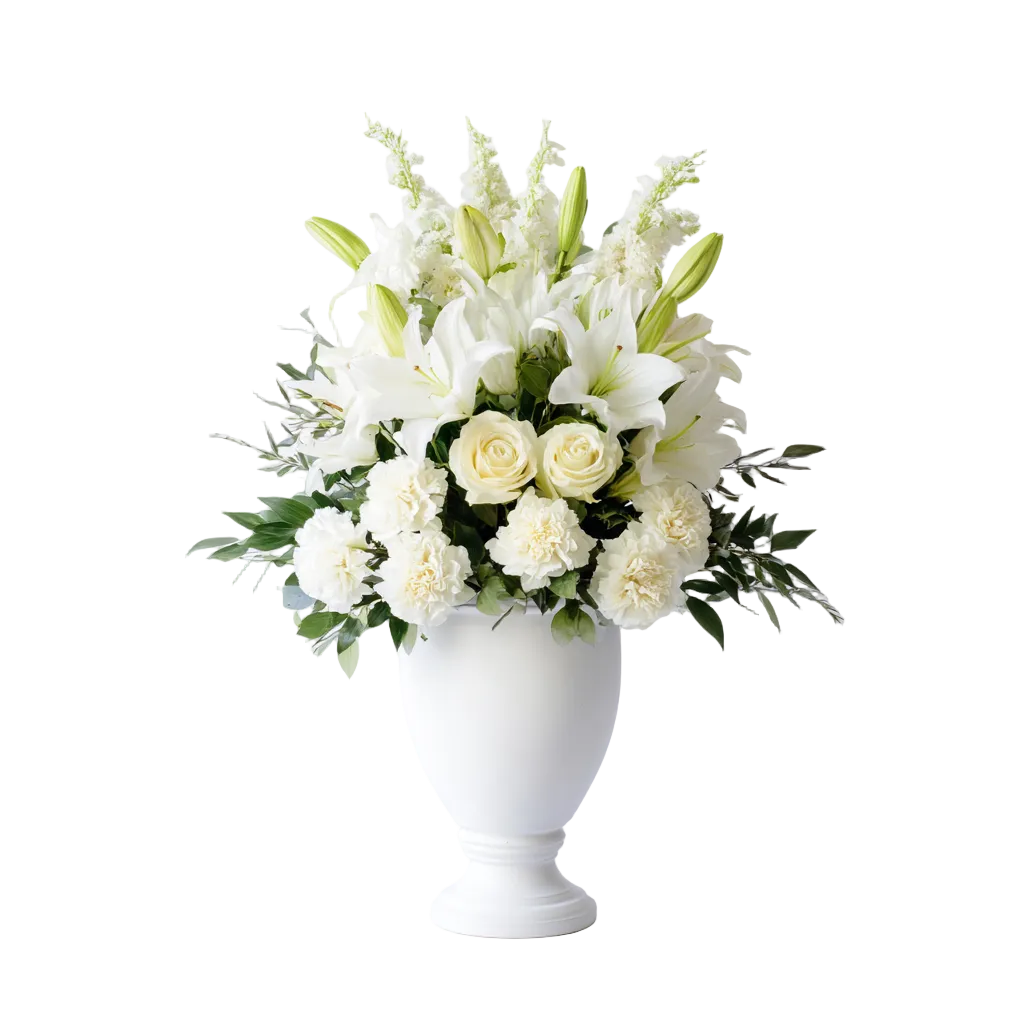 Collection Sympathie de Créateurs IV