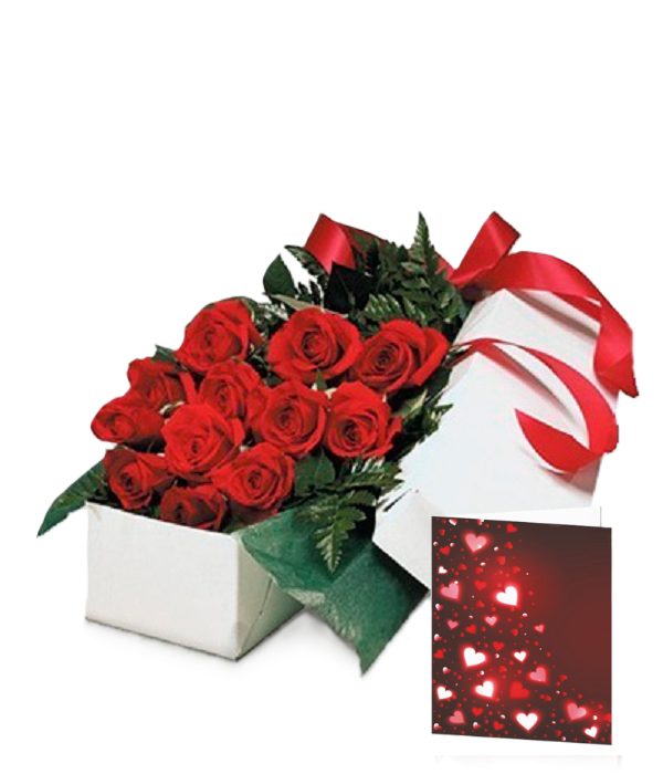 Emballage de boîte cadeau haut de gamme Fleur Québec