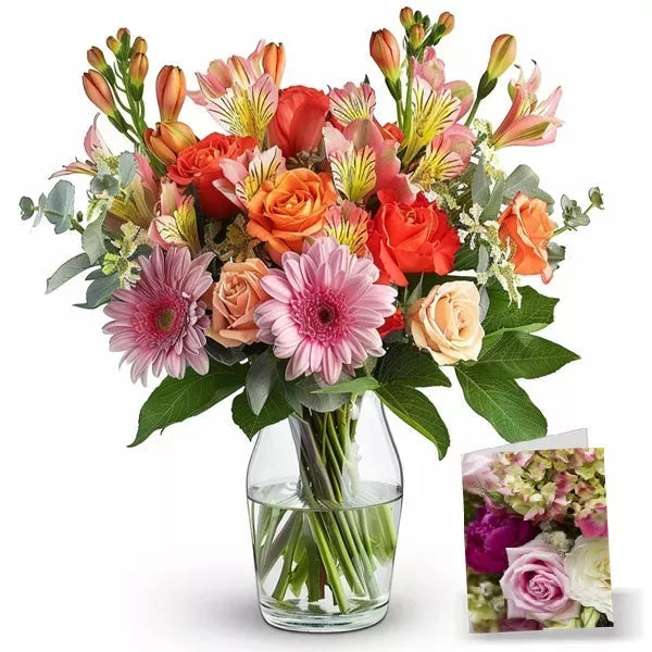 Designers Collection I - Flower Delivery New Zealand