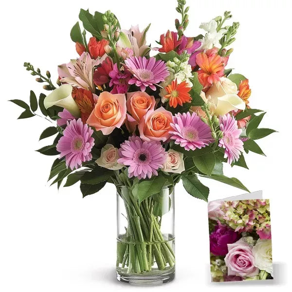 Designers Collection II - Flower Delivery New Zealand