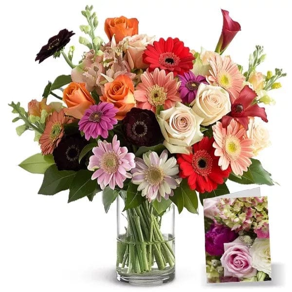 Designers Collection III - Flower Delivery New Zealand
