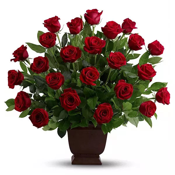 Rose Tribute - Flower Delivery New Zealand