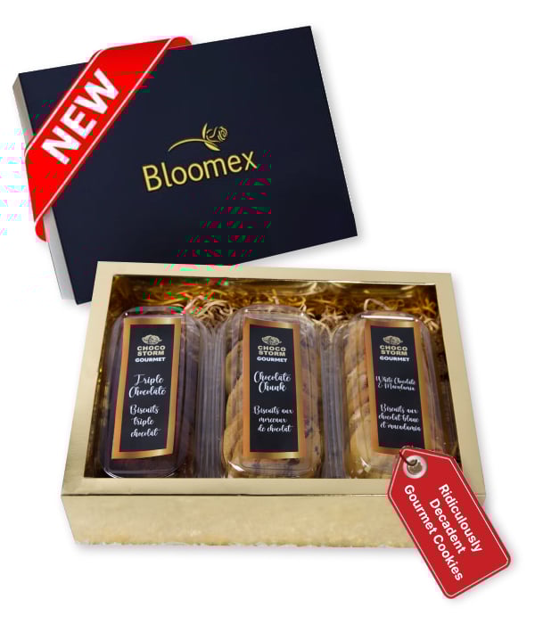 24 Gourmet Decadent Cookies - Des friandises gourmandes pour les amateurs de cookies