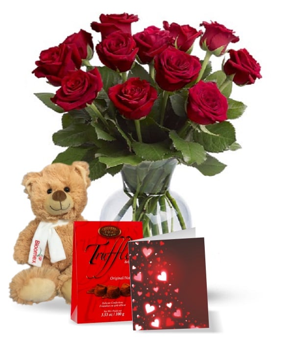 Bouquet de roses rouges à longue tige de qualité supérieure - une douzaine avec combo cadeau