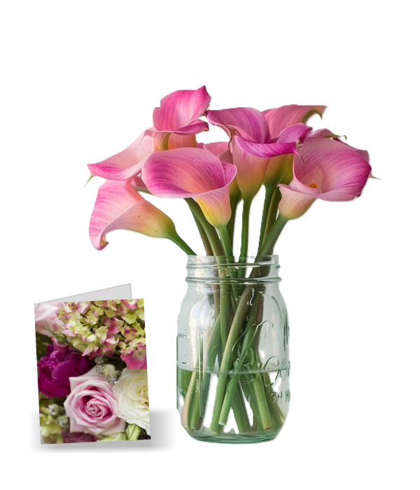 Élégants lys calla roses dans un vase rustique Mason Jar