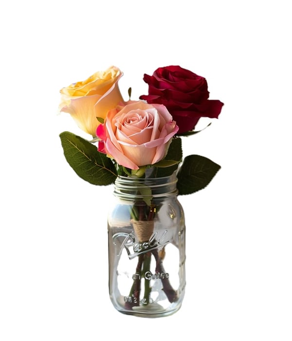 Roses assorties vibrantes dans un pot Mason décoratif - cadeau floral parfait