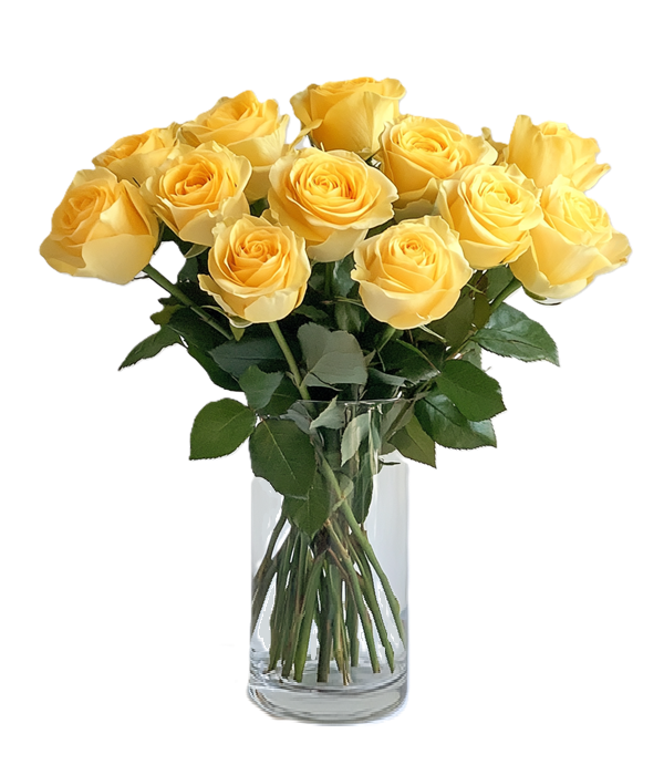 Bouquet de roses jaunes à longue tige Premium - une douzaine