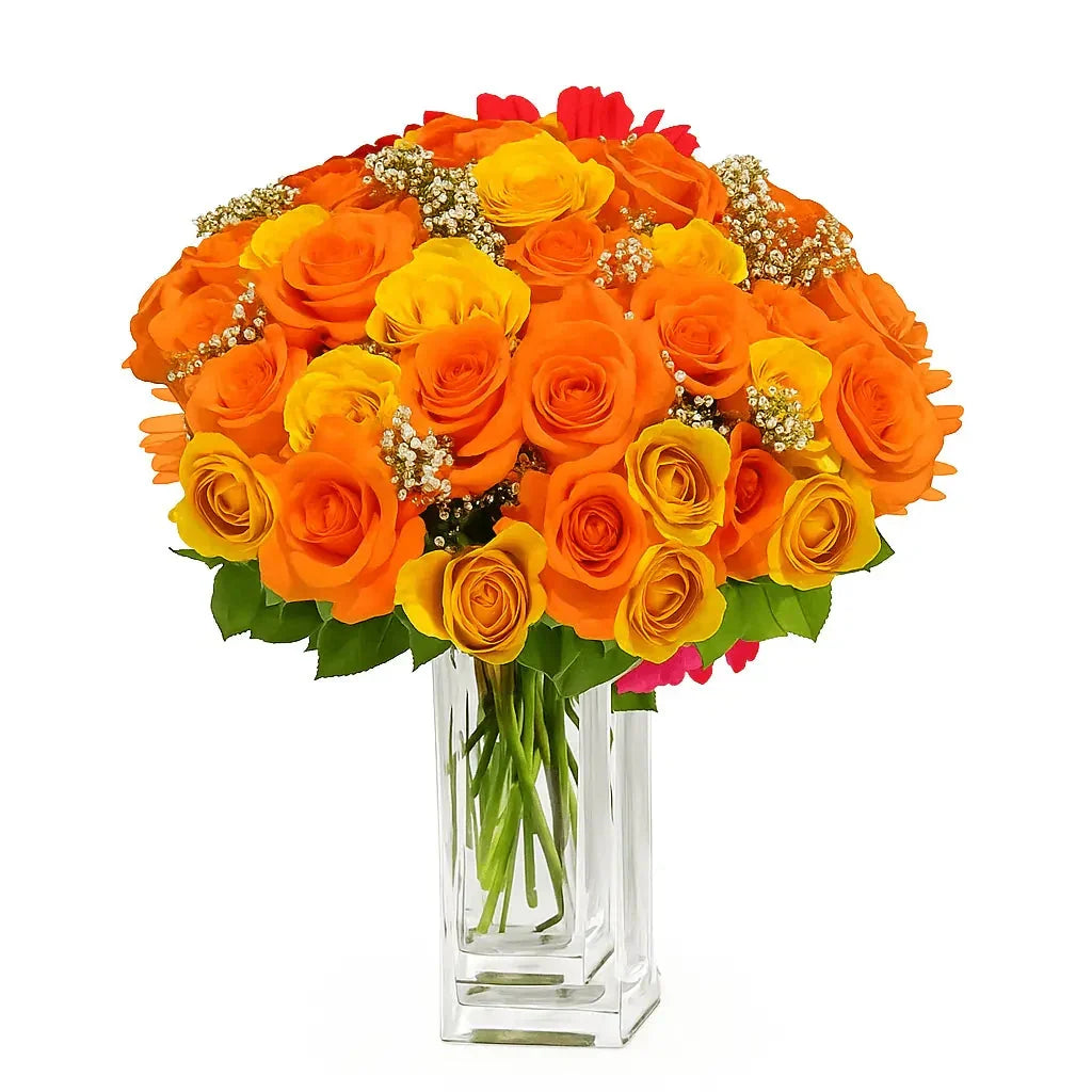 Three Dozen Long Stemmed Orange Roses - Flower Delivery New Zealand