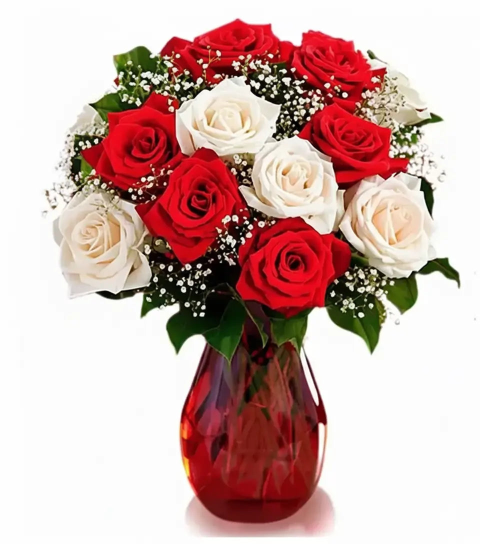 One Dozen Candy Cane Roses - Flower Delivery New Zealand